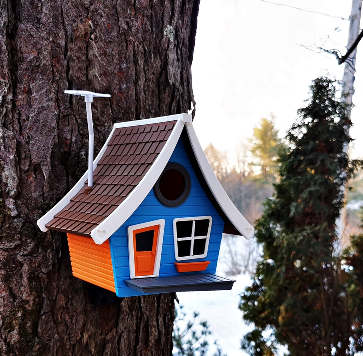 Toon House Birdhouse – UV Resistant 3D Printed Outdoor Bird Box